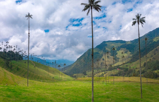 IDOM en la COP16 de Biodiversidad