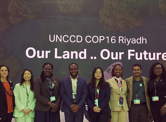 Winding down COP16: IDOM’s thoughts and achievements