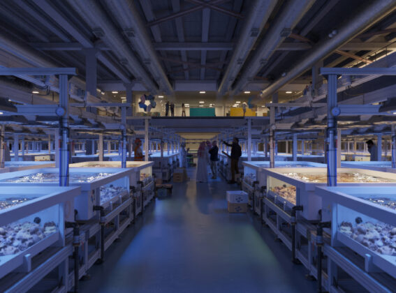 Designing the world’s largest coral nursery